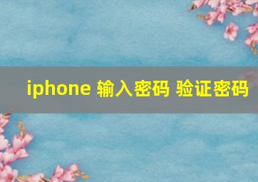 iphone 输入密码 验证密码